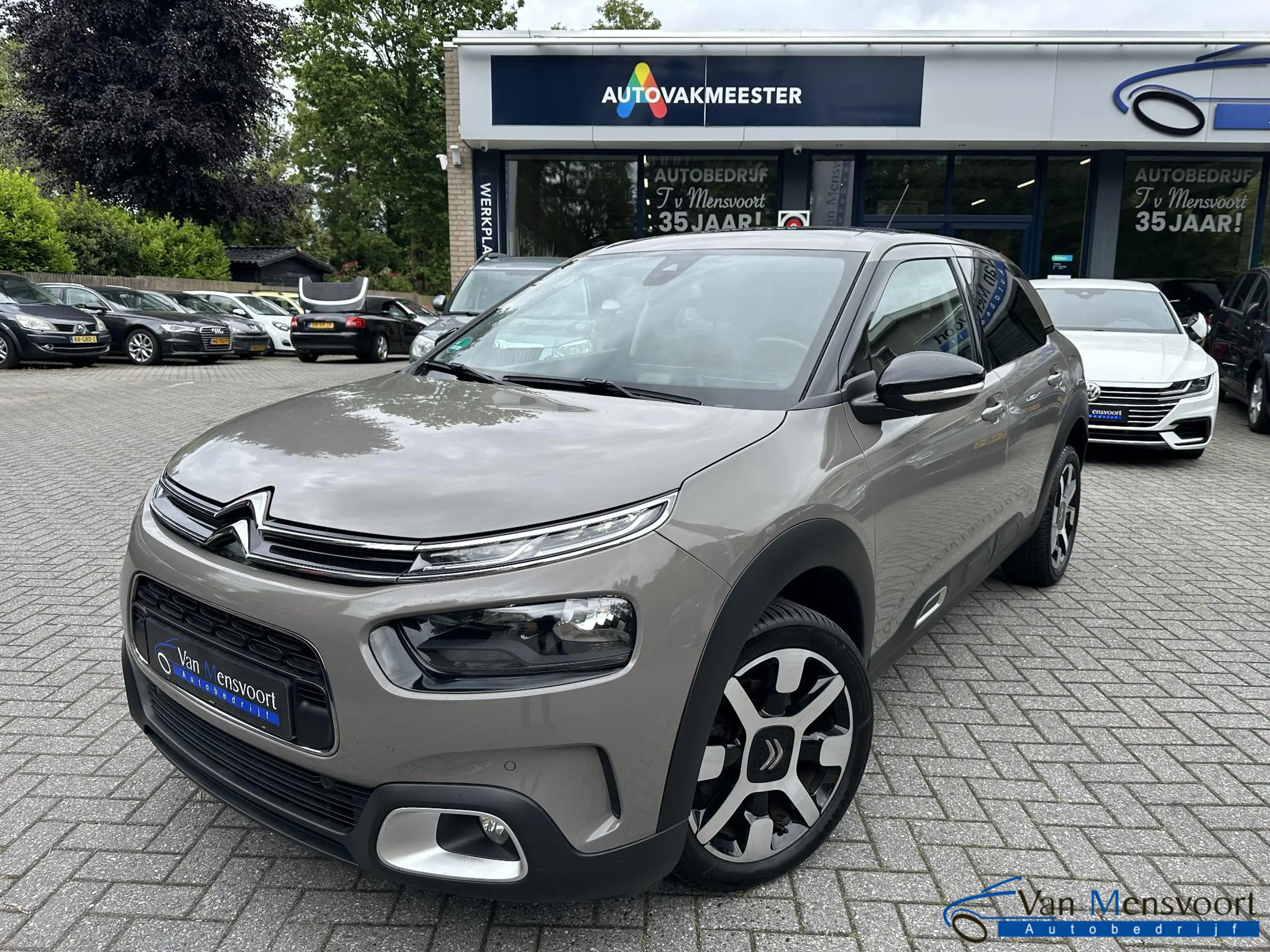 Citroen C4 Cactus 1.2 PureTech 130PK Shine Panorama|Navi|Camera|Rijs