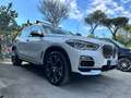 BMW X5 X5 G05 2018 xdrive30d xLine IVA ESP. Bianco - thumbnail 3
