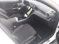 Mercedes-Benz C 220 d T AMG*AHK*Pano-Dach*360*Sitzhzg*Sound* Weiß - thumbnail 22