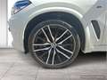 BMW X5 xDrive30d (G05) Weiß - thumbnail 6
