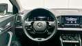 Skoda Karoq 2.0TDI AdBlue Ambition 4x4 DSG 110kW Blanco - thumbnail 11