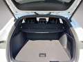 BYD Seal U DM-i Comfort Weiß - thumbnail 21