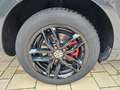 Volkswagen Passat Variant Comfortline BlueMotion Grau - thumbnail 24