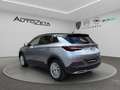 Opel Grandland 1ª serie X 2.0 diesel Ecotec S&S aut. 120 Annivers Grigio - thumbnail 6