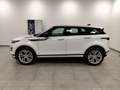 Land Rover Range Rover Evoque 1.5 I3 PHEV 300 CV AWD Auto R-Dynamic SE Pelle 20” Blanc - thumbnail 45