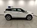 Land Rover Range Rover Evoque 1.5 I3 PHEV 300 CV AWD Auto R-Dynamic SE Pelle 20” Blanc - thumbnail 43