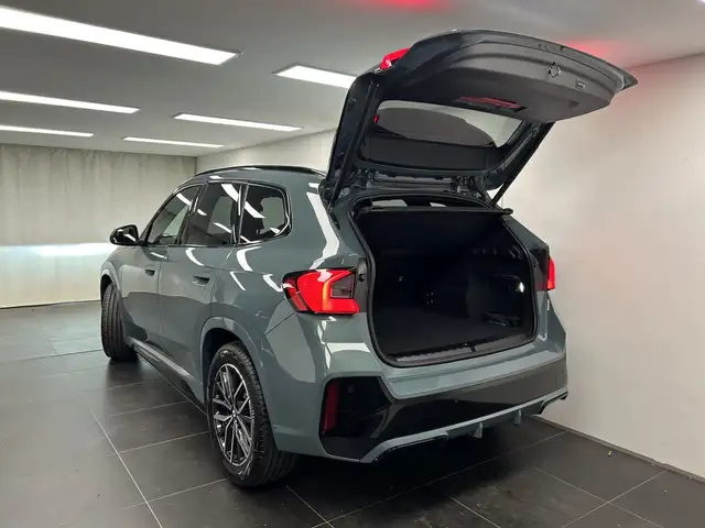 BMW X1 view 11