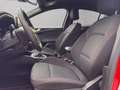 Ford Focus 1.0t ecoboost h ST-Line X 125cv Rosso - thumbnail 14