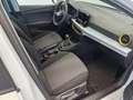 SEAT Ibiza Reference Edition 1.0 80PS Weiß - thumbnail 6