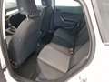 SEAT Ibiza Reference Edition 1.0 80PS Weiß - thumbnail 19