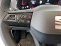 SEAT Ibiza Reference Edition 1.0 80PS Weiß - thumbnail 13