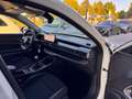 Jeep Avenger 1.2 Altitude ANCHE PER NEOPATENTATI Bianco - thumbnail 15