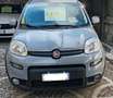 Fiat Panda 1.0 firefly hybrid Sport s&s 70cv LEGGI - thumbnail 2