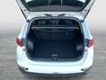 Kia Sportage Silber 2WD Weiß - thumbnail 30