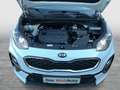 Kia Sportage Silber 2WD Weiß - thumbnail 31