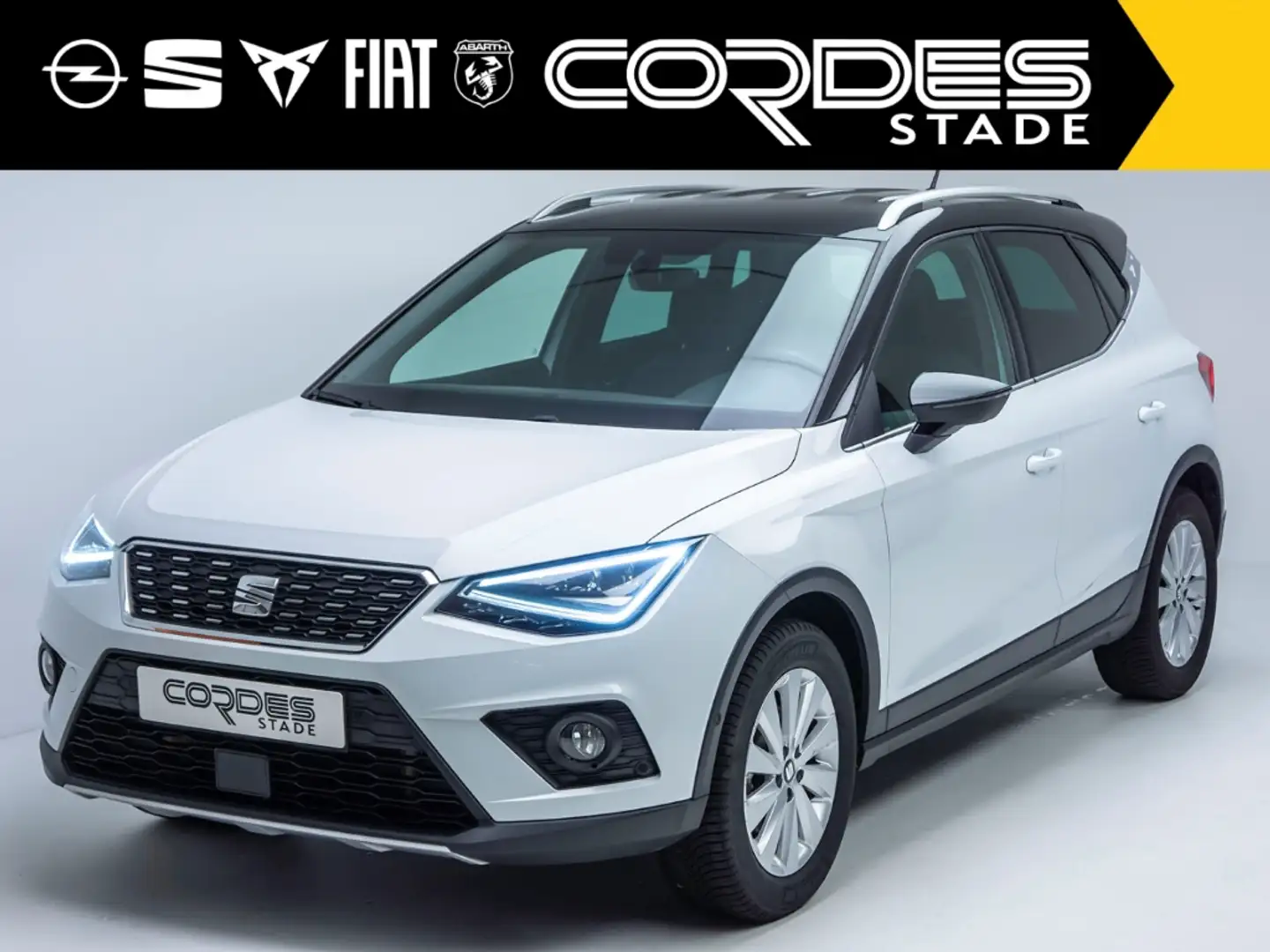 SEAT Arona Xcellence 1.0 TSI Automatik Allwetter Kamera (64) White - 2
