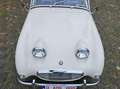 Austin-Healey Sprite Frogeye Weiß - thumbnail 3