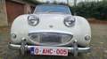 Austin-Healey Sprite Frogeye Weiß - thumbnail 2