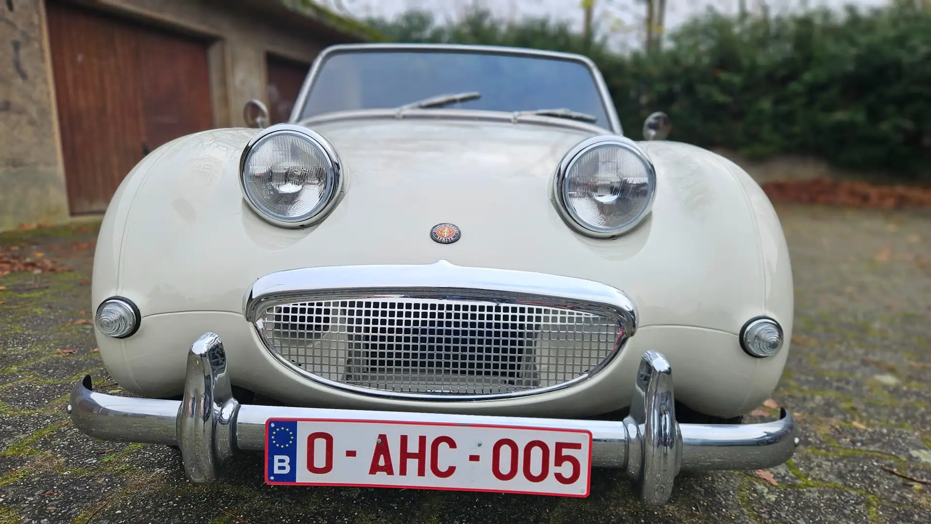 Austin-Healey Sprite Frogeye Weiß - 2