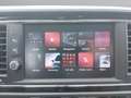SEAT Leon ST FR Black Edition 1.5TSI* Panorama+Navi+Leder+LE Grijs - thumbnail 19