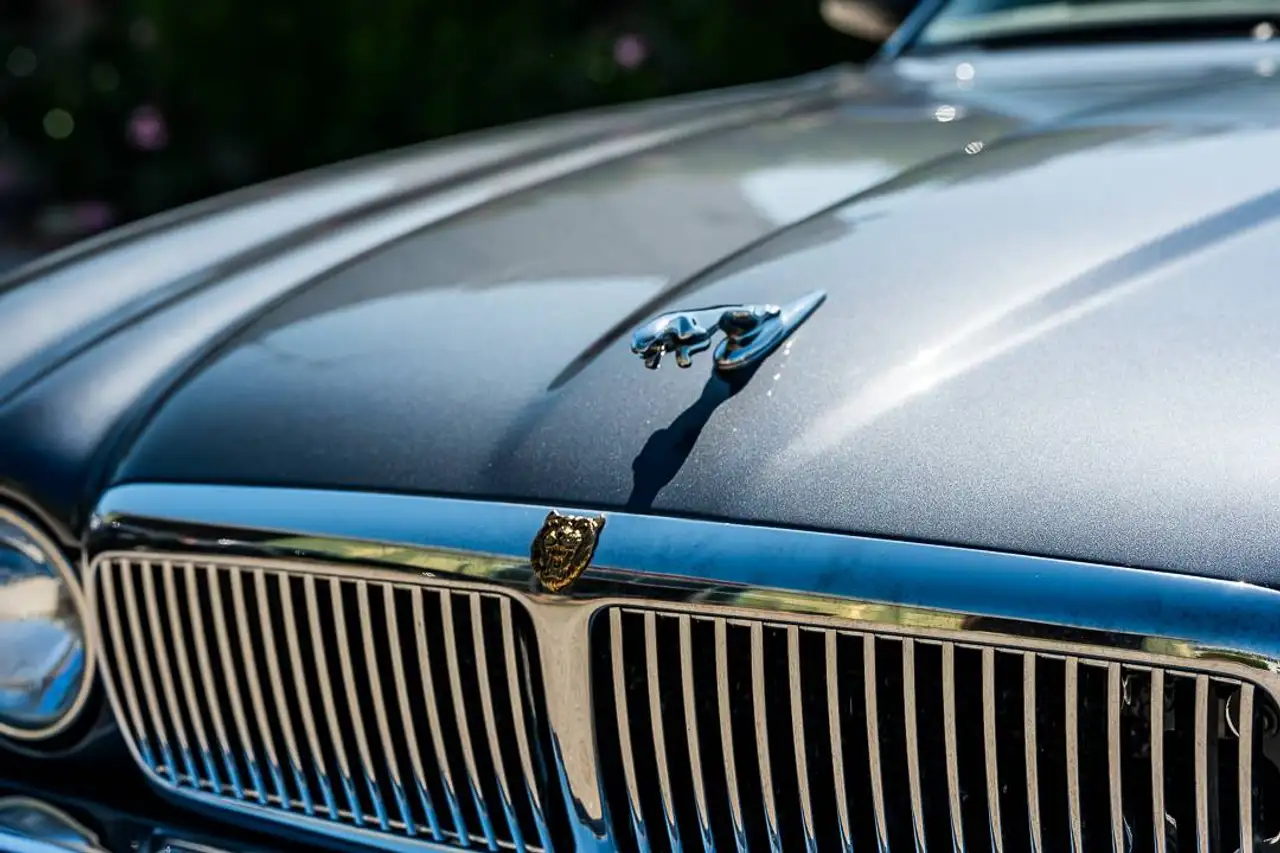 Jaguar XJ6 3.6 Daimler auto, foto 3