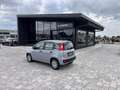Fiat Panda 1.2 Easy ANCHE PER NEOPATENTATI Grigio - thumbnail 10