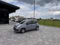 Fiat Panda 1.2 Easy ANCHE PER NEOPATENTATI Grigio - thumbnail 2