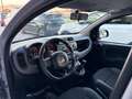 Fiat Panda 1.2 Easy ANCHE PER NEOPATENTATI Grigio - thumbnail 13