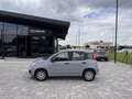 Fiat Panda 1.2 Easy ANCHE PER NEOPATENTATI Grigio - thumbnail 4