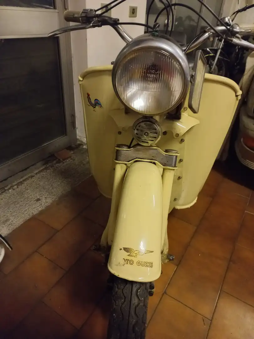 Moto Guzzi Galletto Beige - 2