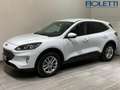 Ford Kuga 3ª SERIE 1.5 ECOBLUE 120 CV 2WD TITANIUM Bianco - thumbnail 1