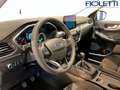 Ford Kuga 3ª SERIE 1.5 ECOBLUE 120 CV 2WD TITANIUM Bianco - thumbnail 11