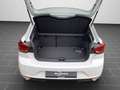 SEAT Ibiza Xcellence 1,0 TSi 6-Gang. Navi Weiß - thumbnail 15