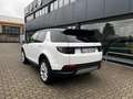 Land Rover Discovery Sport 2.0d td4 mhev SE awd 163cv auto Bianco - thumbnail 7