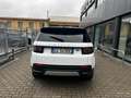 Land Rover Discovery Sport 2.0d td4 mhev SE awd 163cv auto Bianco - thumbnail 6
