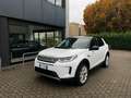 Land Rover Discovery Sport 2.0d td4 mhev SE awd 163cv auto Bianco - thumbnail 1