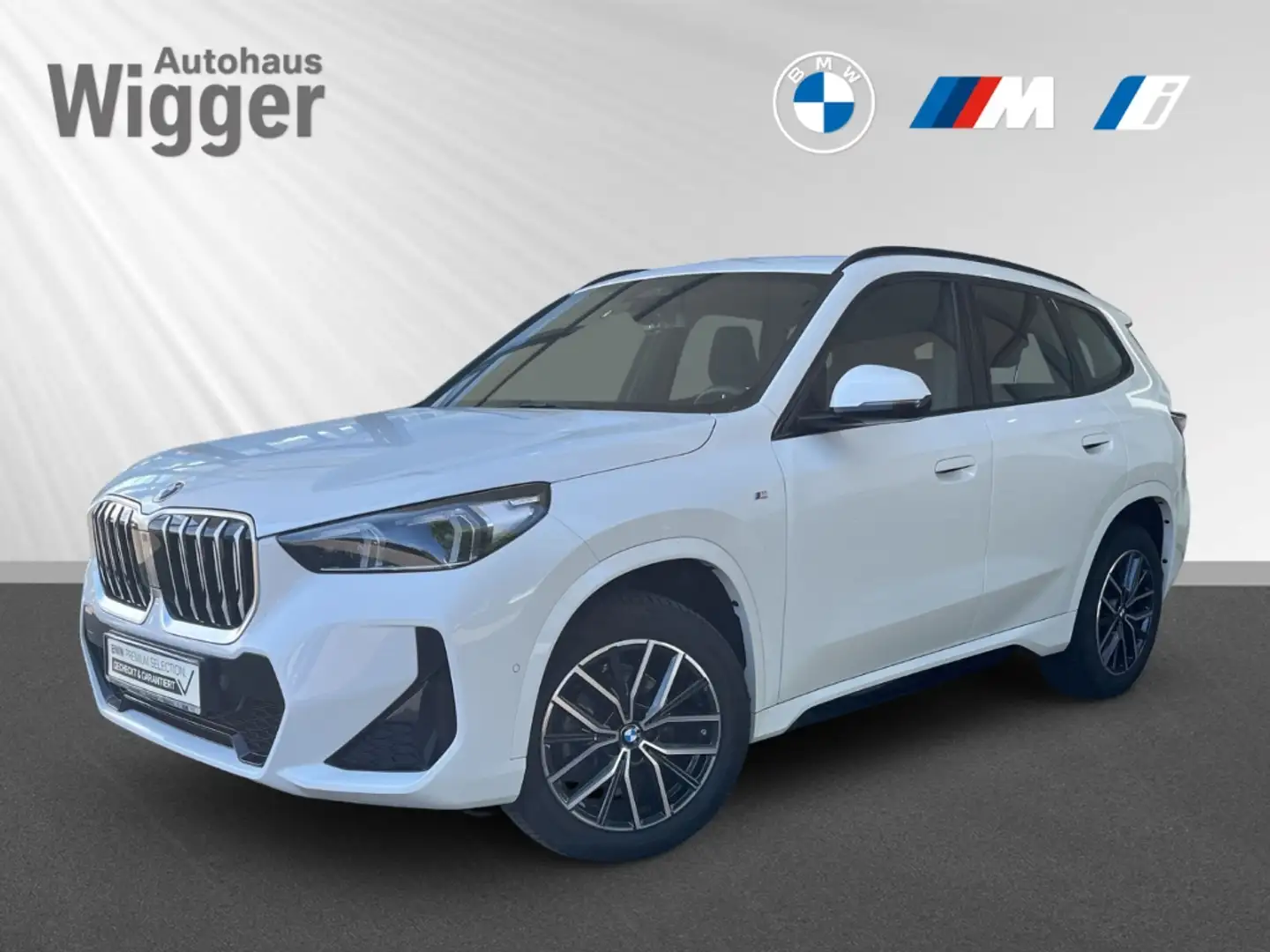 BMW X1 18d Aut. sDrive M Sport/AHK/Navi/HarmanKardon Bílá - 1