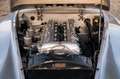 Jaguar XK 120 | Very early steel body XK120 Argent - thumbnail 20