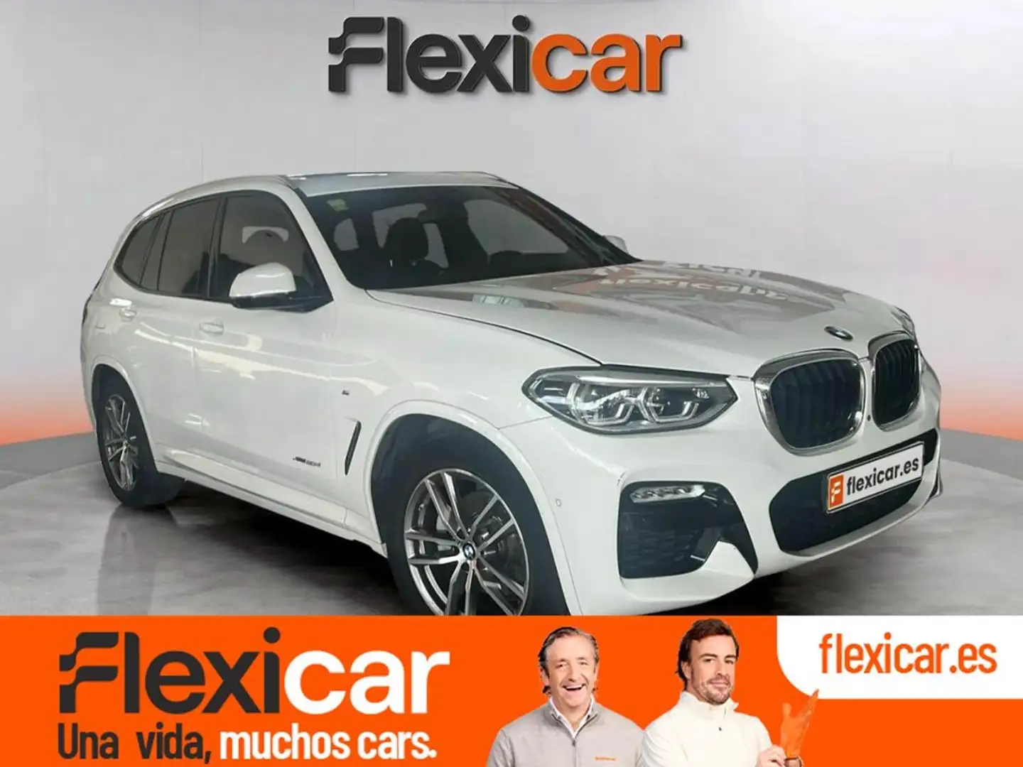 BMW X3 xDrive20d Business Wit - 1