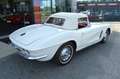 Corvette Sonstige Corvette Weiß - thumbnail 20
