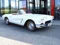 Corvette Sonstige Corvette Weiß - thumbnail 1