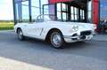 Corvette Sonstige Corvette Weiß - thumbnail 44