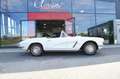 Corvette Sonstige Corvette Weiß - thumbnail 45