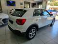 Audi Q2 35 Business Plus 1.5 TFSI 150CV S tronic Navi Blanc - thumbnail 4