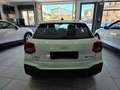 Audi Q2 35 Business Plus 1.5 TFSI 150CV S tronic Navi Blanc - thumbnail 5