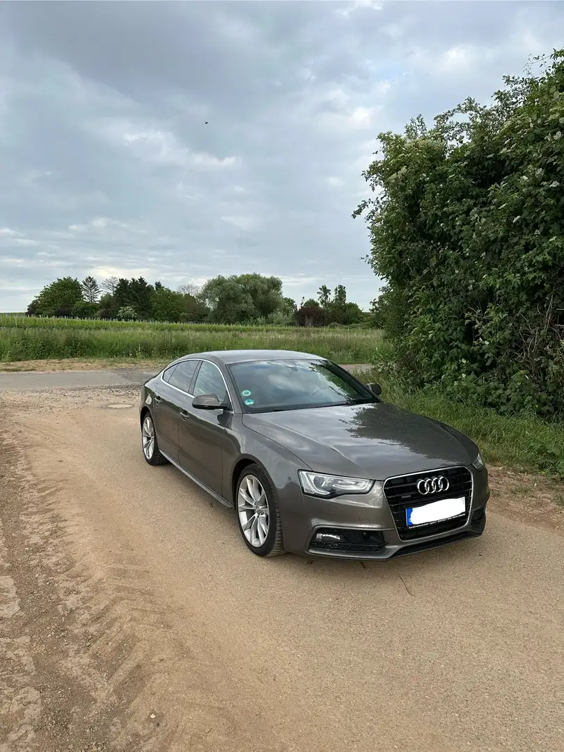 Audi A5 3.0 TDI Sportback quattro DPF S tronic - 1