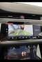 Land Rover Range Rover Evoque Range Rover Evoque mhev  awd 150cv auto AUTOCARRO Grigio - thumbnail 16