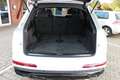 Audi Q7 50 TDI quattro 3xS line - Luft-ACC-7Sitze Blanc - thumbnail 18
