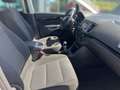 SEAT Alhambra Style -Ecomotive Grau - thumbnail 9