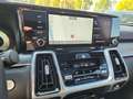 Kia Sorento Platinum 4WD Plug-In Hybrid WR Pano Rot - thumbnail 13